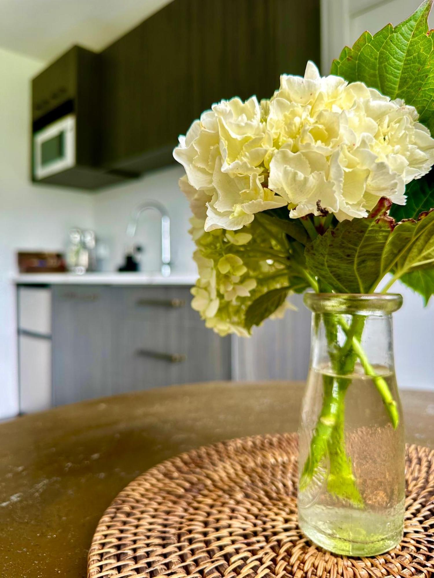 Matamata Country B&B Eksteriør bilde