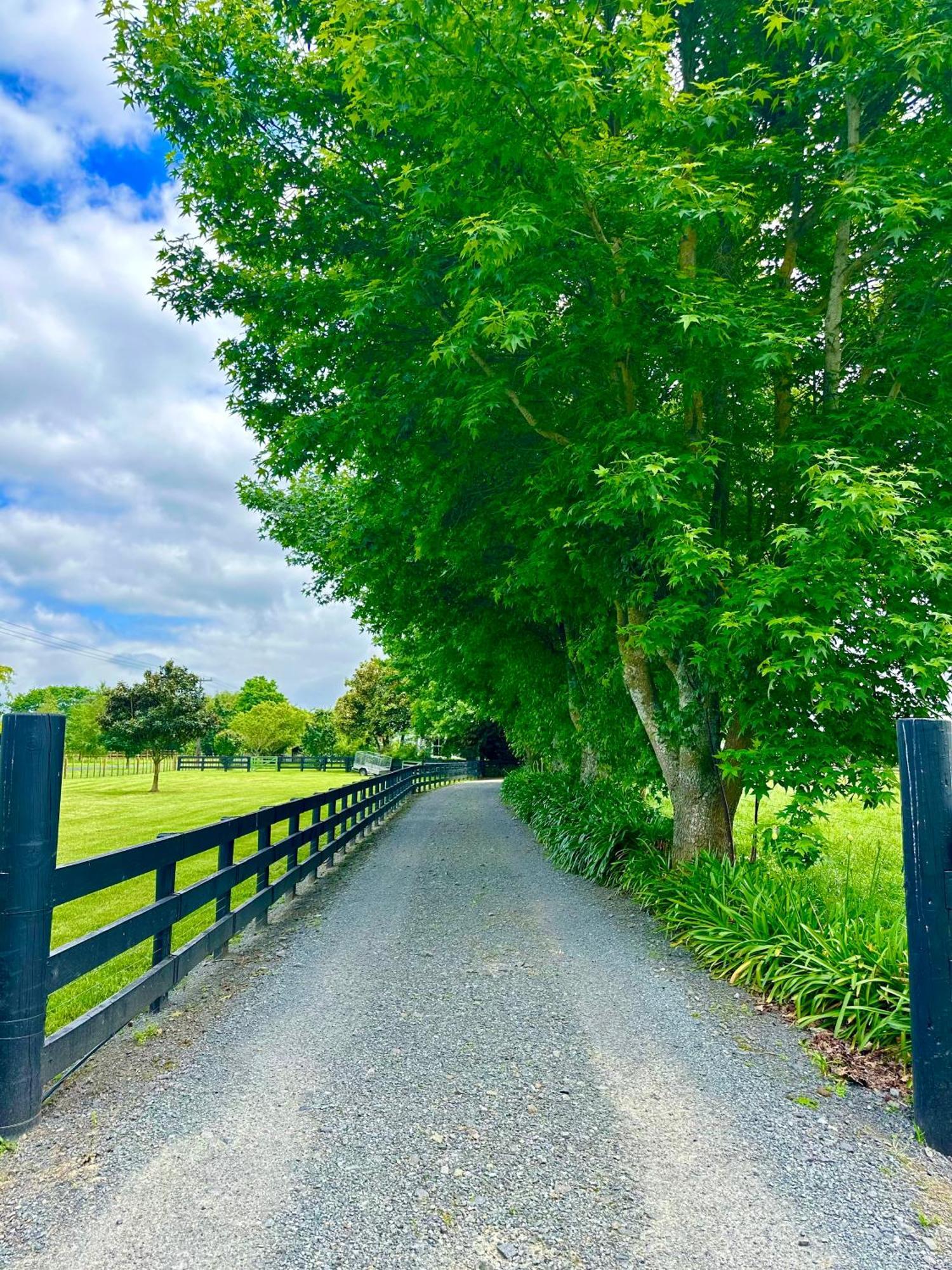 Matamata Country B&B Eksteriør bilde